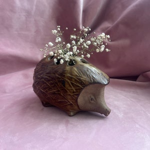 May include: A brown ceramic hedgehog vase with holes on top, filled with white baby's breath flowers. The hedgehog has a textured surface and a small snout. The vase is on a pink background.