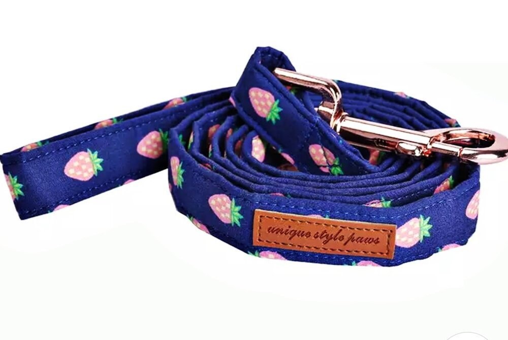 Cute Dog Leash and Collar Blue Dog Leash and Collar Set Dog Etsy