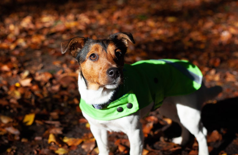 Waterproof Dog Coats Handmade in a Variety of Different Sizes Etsy UK