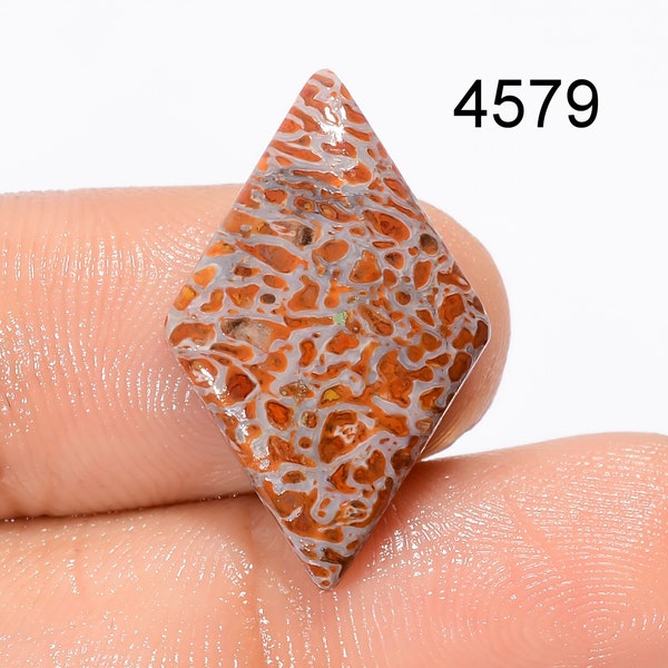 Dinosaur Bone Gemstone, Natural Dinosaur Bone Cabochon, Top Quality, 8Cts Loose Gemstone, Rare Dinosaur Bone Gemstone For Jewelry Making