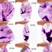 see more listings in the Amethyst/Ametrine section