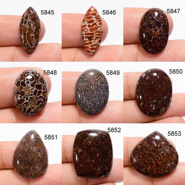 Dinosaur Bone Gemstone, Natural Dinosaur Bone Cabochon, AAA+ Quality Gemstone, Loose Gemstone, Rare Dinosaur Bone Crystals For Jewelry