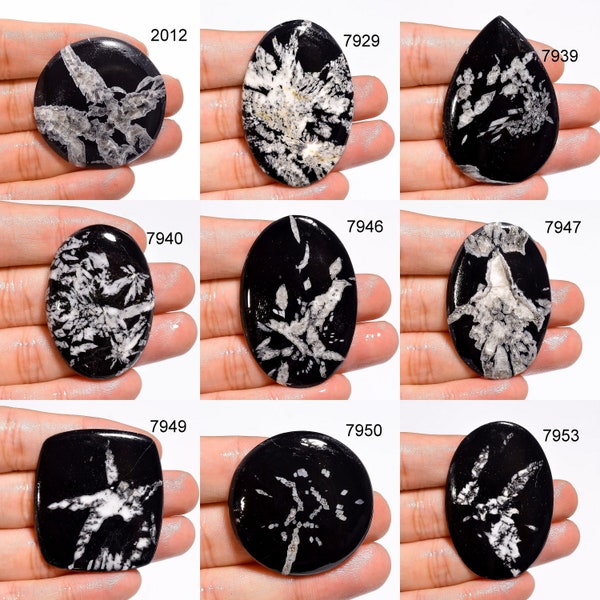 Natural Chrysanthemum Gems/ Black Chrysanthemum Cabochon/ Oval Chrysanthemum Cabs Gemstone/ Chrysanthemum Loose Gemstone