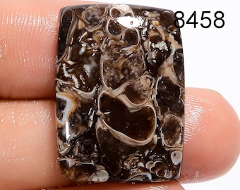 Cabochão de Ágata Turritella Natural, Formato Variado, Suprimentos para Confecção de Joias