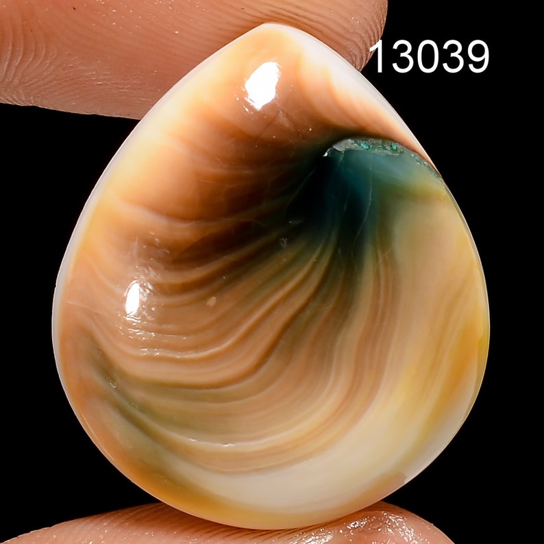 May include: A close-up of a brown, white, and blue shell cabochon with a swirling pattern. The shell is smooth and polished, with a glossy finish. The cabochon is approximately 1 inch in diameter.