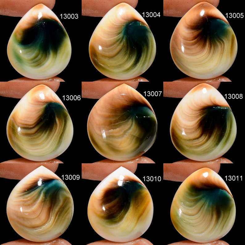 May include: Ten round, iridescent, shell cabochons with swirling patterns of brown, green, and white. The cabochons are numbered 13003 through 13011.