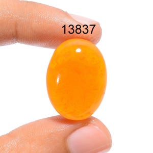 May include: A bright orange oval cabochon gemstone, approximately 1 inch in length, held between two fingers. The gemstone has a smooth, polished surface and a translucent appearance. The image also includes the number 13837.