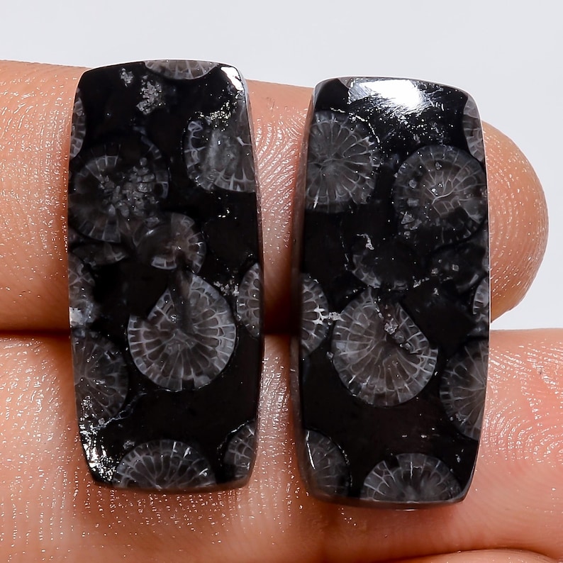 Puede incluir: Dos cabujones rectangulares de coral f&oacute;sil negro con intrincados patrones blancos, circulares y en forma de abanico en toda la superficie oscura de la piedra. Las piedras pulidas tienen un acabado liso y reflectante.
