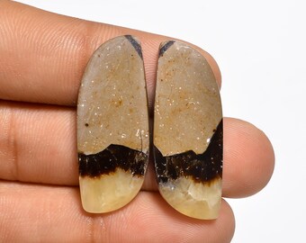 May include: Two elongated, semi-oval shaped gemstones featuring a distinct color gradient. The stones transition from a textured, sandy beige top section to a dark, deep brown horizontal band, ending in a smooth, translucent pale yellow base.
