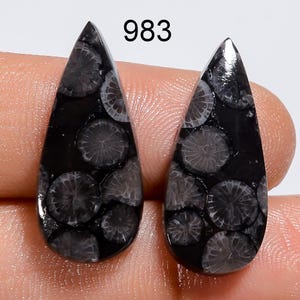 Puede incluir: Dos piedras preciosas pulidas en forma de l&aacute;grima con una base negra y patrones circulares de coral fosilizado en gris claro. El n&uacute;mero 983 est&aacute; impreso en negro sobre las piedras. Estos cabujones presentan una superficie lisa y brillante.
