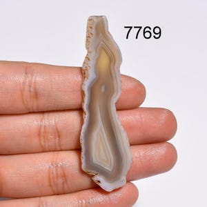 Op de afbeelding: Een gepolijste agaat steenschijf met een gelaagd patroon van beige, wit en lichtbruin. De steen heeft een ruwe, getextureerde rand en wordt in een hand gehouden. Het nummer "7769" is in het zwart gedrukt.