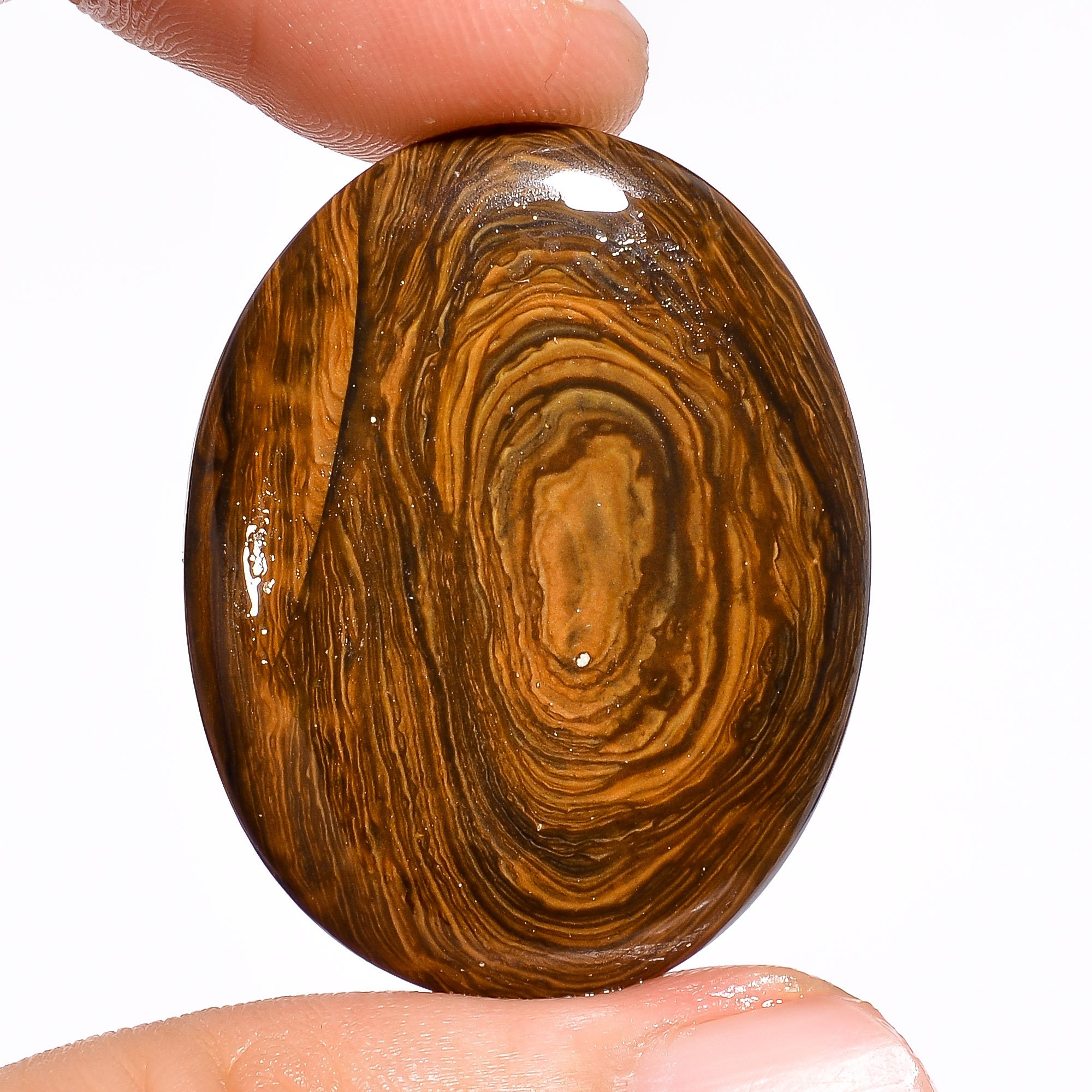 biggs jasper su biggs jasper su