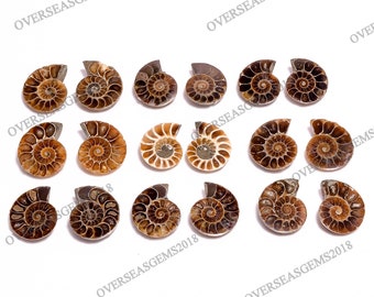 Natural Brown Ammonite Pair Wholesale Gemstone, Bulk Designer Crystal Gemstone, DIY-ART-CRAFTS Pendant Jewelry making supply, Custom Order
