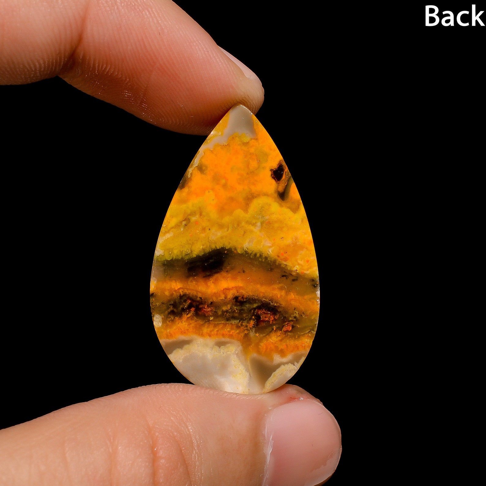 bee jasper bee jasper
