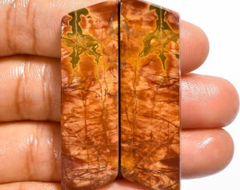 AAA Cherry Creek Jasper Cabochon Pair, Natural Gemstone for Earrings