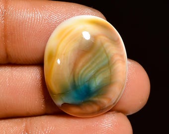 Natuurlijke Shiva-oogschelp edelsteen cabochon, levering sieraden