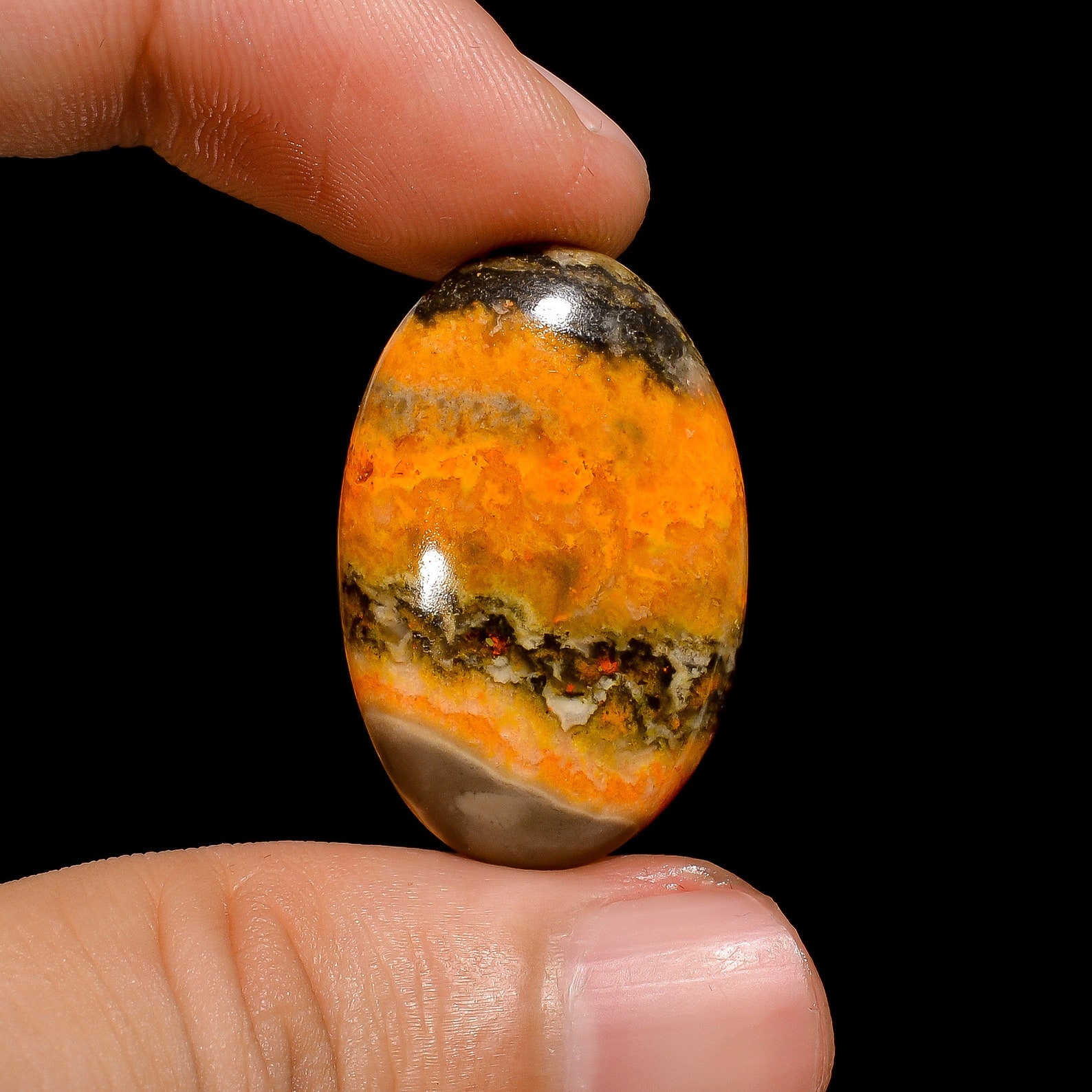 bee jasper bee jasper