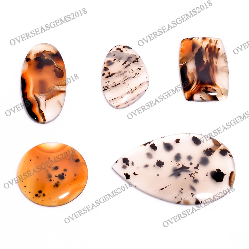 May include: Four agate gemstone cabochons in various shapes and sizes. The stones feature a mix of brown, white, and black patterns.