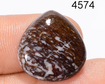 Natural Dinosaur Bone Cabochon, AAA Quality Loose Gemstone