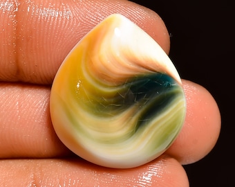 Natuurlijke Shiva-oogschelp edelsteen cabochon, losse edelsteen voor het maken van sieraden