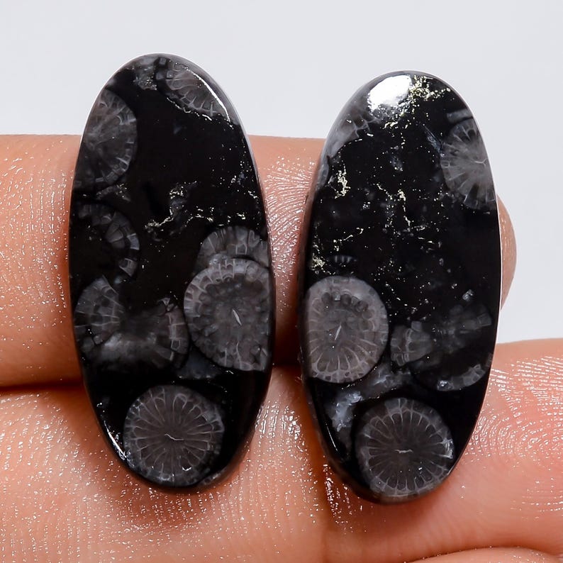 Puede incluir: Dos cabujones de coral f&oacute;sil negro de forma ovalada con intrincados patrones circulares de color gris claro, similares a flores, incrustados en la superficie de piedra oscura y pulida. Las piedras tienen un acabado liso y reflectante con texturas radiales naturales.