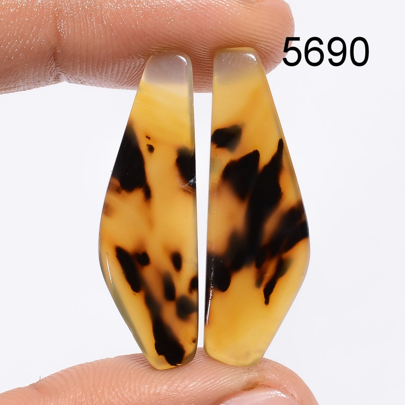 Montana Agate Pair Gemstone, Multi Color Montana Agate Pair Cabochon, Natural Designer Gemstone Matched Earring Pair For Jewelry Making 5690 : 32X10X2 mm