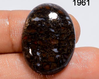 AAA Dinosaur Bone Cabochon: Natural Gemstone for Jewelry Making