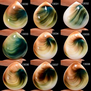 May include: Nine teardrop-shaped cabochons of iridescent shell with swirling patterns of brown, green, and white.