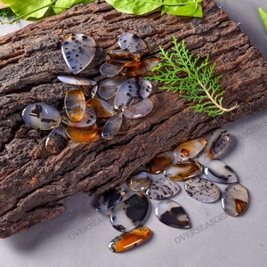 May include: A collection of 20 agate gemstone cabochons in various shapes and sizes. The cabochons are a mix of white, gray, and brown with black and brown dendritic patterns. The cabochons are displayed on a piece of tree bark.