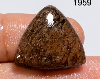 Natural Dinosaur Bone Cabochon, AAA Quality Loose Gemstone.
