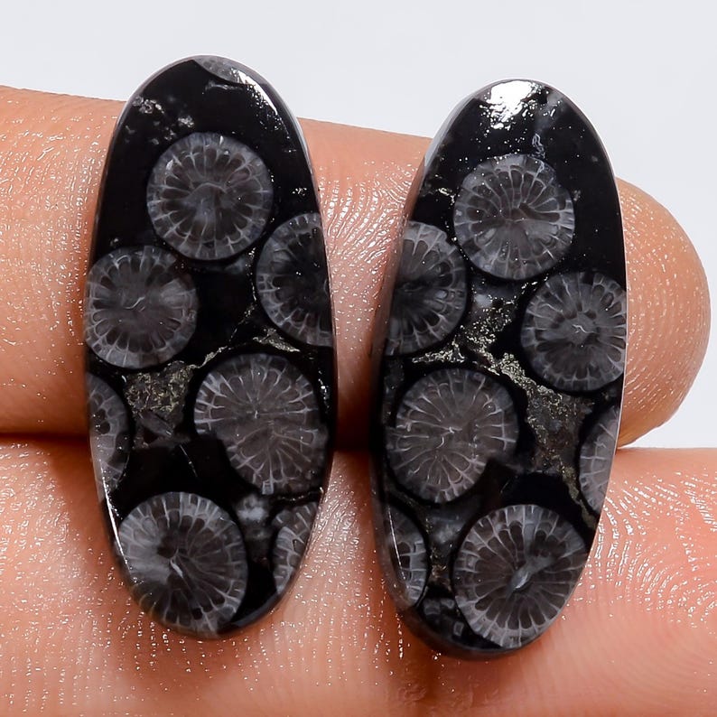 Puede incluir: Dos cabujones ovalados de coral f&oacute;sil negro que presentan patrones circulares de color gris claro en toda la superficie oscura de la piedra. Las gemas pulidas exhiben un acabado liso y reflectante con intrincadas estructuras fosilizadas en forma de estrella.