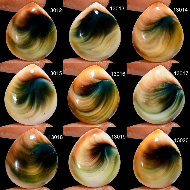 May include: Nine cabochon gemstone cabochons with a swirling pattern of brown, white, green, and blue colors. The cabochons are numbered 13012 through 13020.