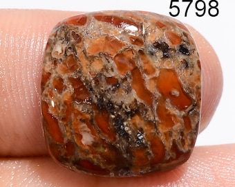 Natural Dinosaur Bone Jasper Cabochon: Mix Shape AAA Lapidary Gemstone for Jewelry Making
