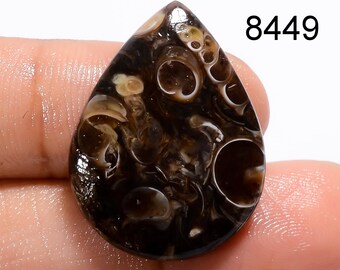 AAA Turritella Agate Cabochon: Natural Healing Gemstone