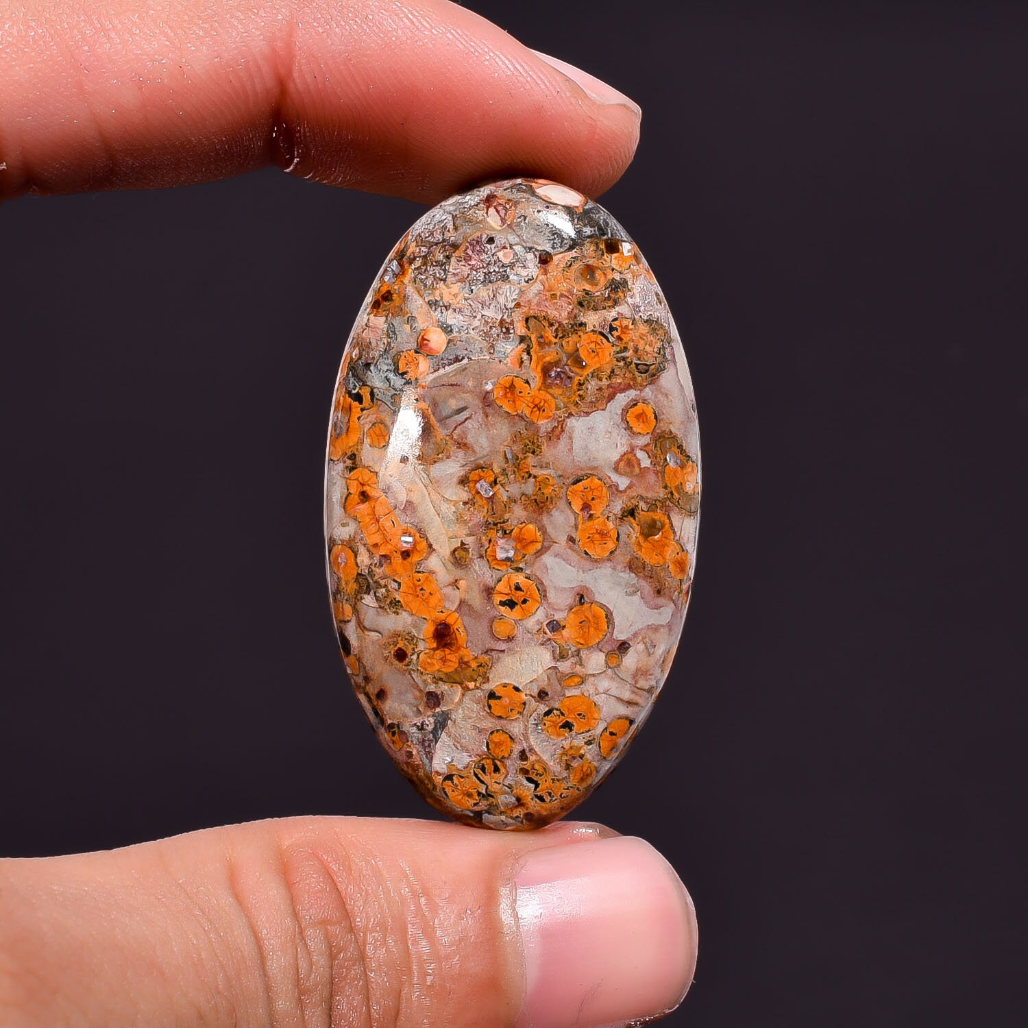 leopard skin jasper leopard skin jasper
