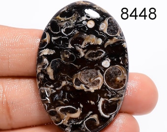 AAA Turritella Achat Cabochon: Natürlicher Heilstein