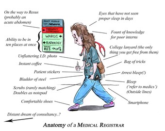 Anatomy of a Medical Reg
