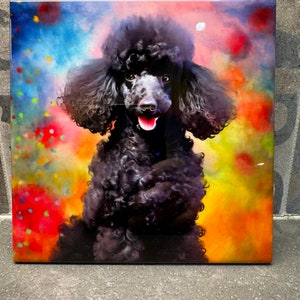 May include: A black poodle with a fluffy coat is sitting in front of a colorful abstract background. The background features shades of blue, red, yellow, and green.