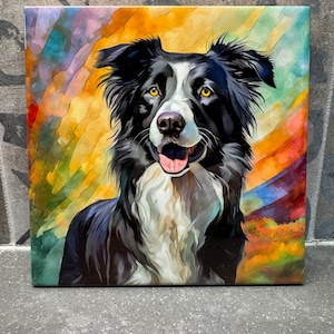 Op de afbeelding: Een zwart-witte border collie met een kleurrijke abstracte achtergrond. De hond kijkt recht in de camera met zijn tong naar buiten.
