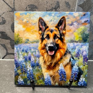 May include: A painting of a German Shepherd dog standing in a field of bluebonnet flowers. The dog is looking at the viewer with a happy expression. The background is a colourful sunset.
