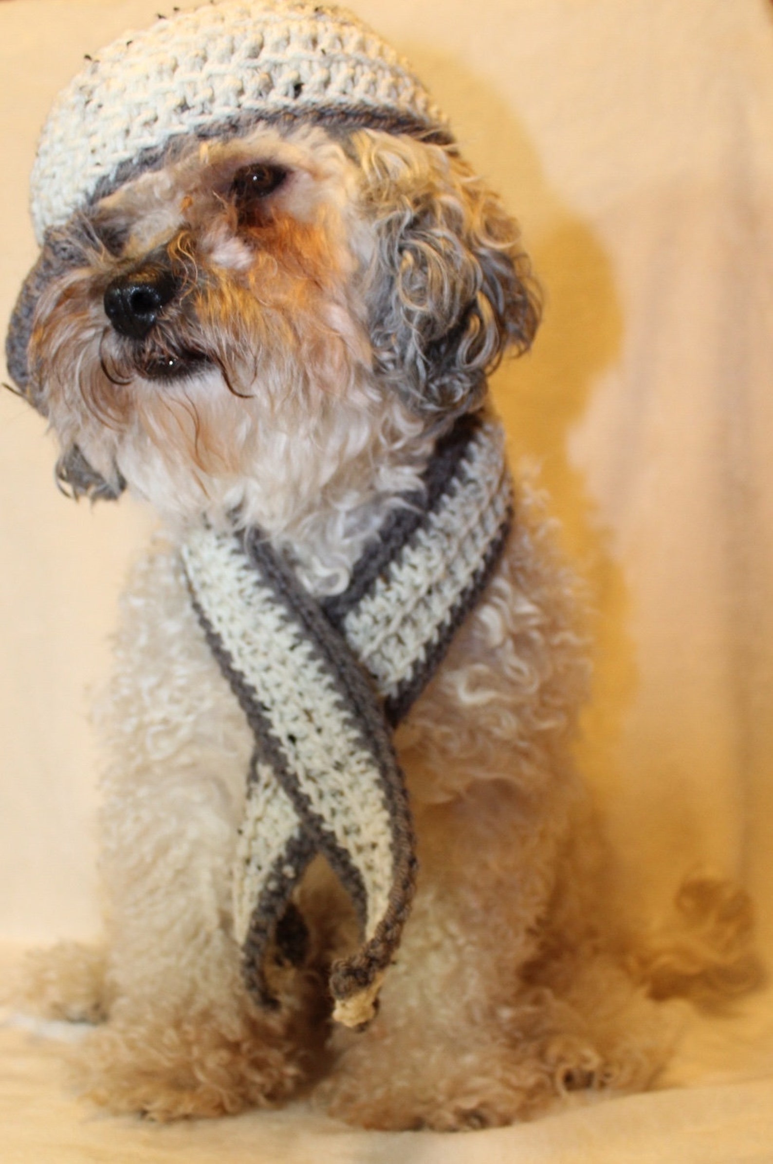 Crocheted Funky Fresh Hat and Scarf Set for Dogs Etsy