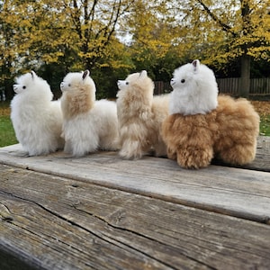 Alpaca Plush Toys 20 cm-8&quot;, 100% Baby Alpaca fur toy, Plush Alpaca Fur, Alpaca stuffed Animal, Soft Plush Toys Gift for any occacion