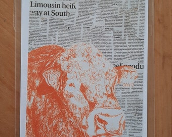 Limousin Bull Orange Screen Print Collage Greetings Card (Blank)