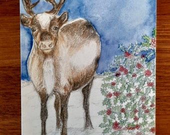 Reindeer Christmas card (Blank)