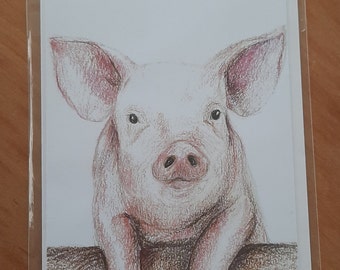 Pig Greetings Card (Blank)