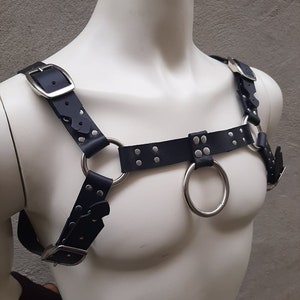Bulldog Harness w/ Flat Buckles