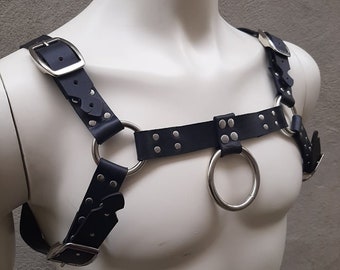 Bulldog Harness w/ Flat Buckles