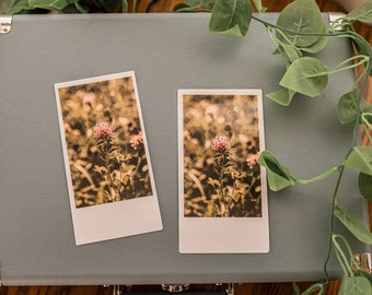 Polaroid Style Laminated Bookmark, Pink Wildflower