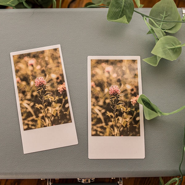 Polaroid Style Laminated Bookmark, Pink Wildflower