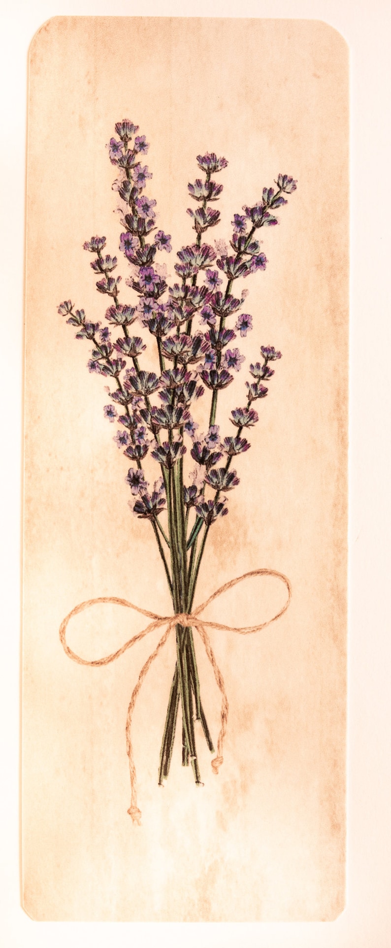 Lavender Wildflower Bookmark Laminated - Etsy